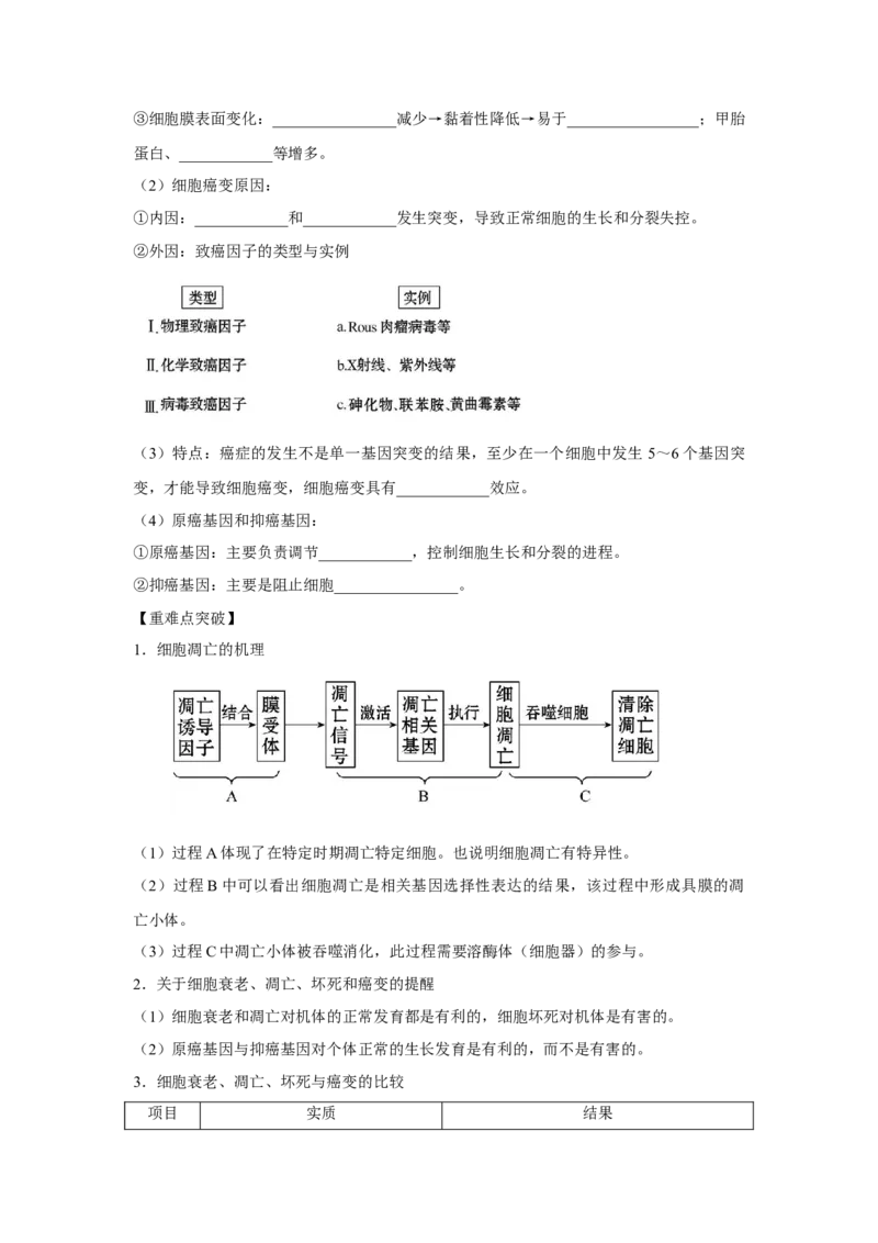 专题12_细胞的分化、衰老、凋亡与癌变(教师版)_新高考复习资料_2023年新高考复习资料_二轮复习_增分要点2023高考生物二轮复习专题解读和分层训练291073137