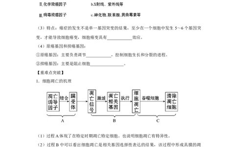 专题12_细胞的分化、衰老、凋亡与癌变(教师版)_新高考复习资料_2023年新高考复习资料_二轮复习_增分要点2023高考生物二轮复习专题解读和分层训练291073137