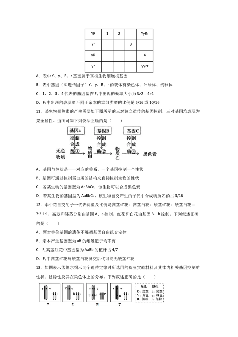 专题14_基因的自由组合定律(学生版)_新高考复习资料_2023年新高考复习资料_二轮复习_增分要点2023高考生物二轮复习专题解读和分层训练291073137