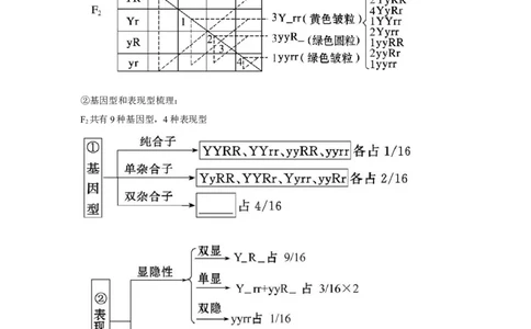 专题14_基因的自由组合定律(学生版)_新高考复习资料_2023年新高考复习资料_二轮复习_增分要点2023高考生物二轮复习专题解读和分层训练291073137