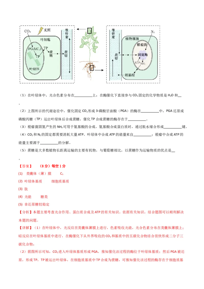 黄金卷04（解析版）-赢在高考&middot;黄金8卷备战2024年高考生物模拟卷（全国卷专用）_2024年新高考资料_4.2024高考模拟预测试卷