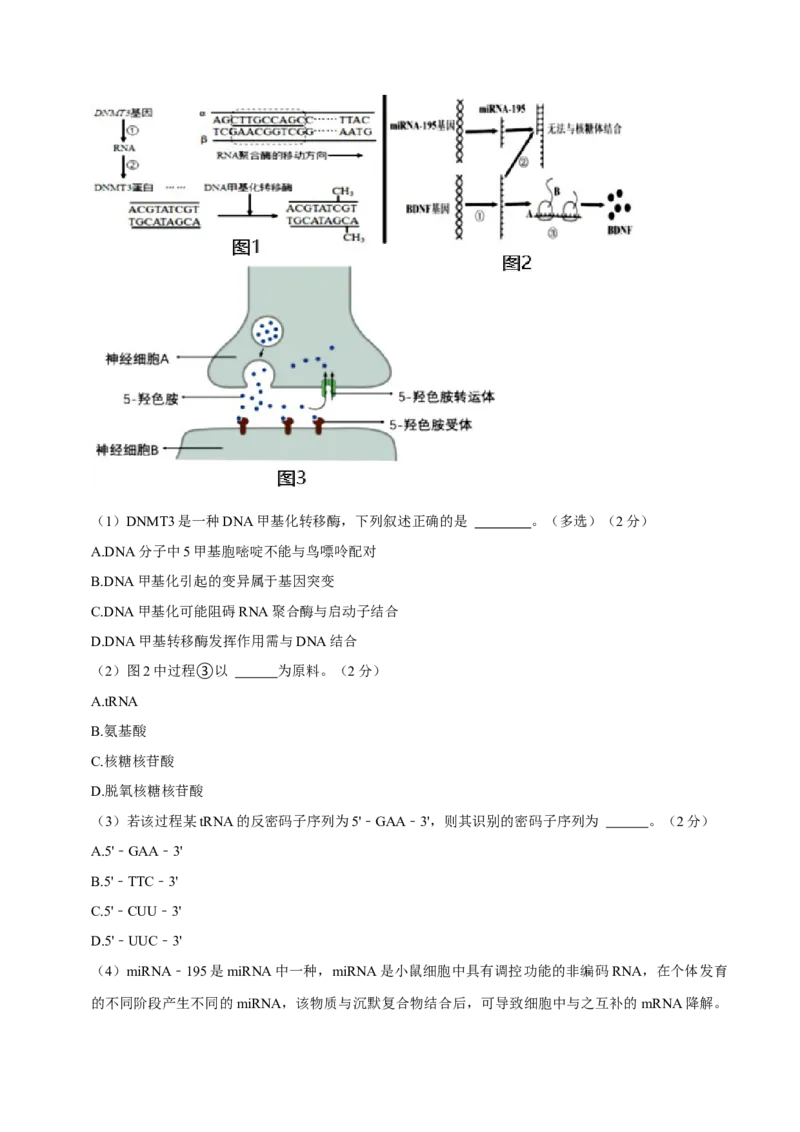 黄金卷05（解析版）-赢在高考&middot;黄金8卷备战2024年高考生物模拟卷（上海专用）_2024年新高考资料_4.2024高考模拟预测试卷