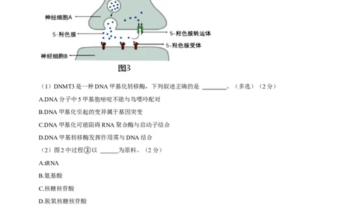 黄金卷05（解析版）-赢在高考&middot;黄金8卷备战2024年高考生物模拟卷（上海专用）_2024年新高考资料_4.2024高考模拟预测试卷