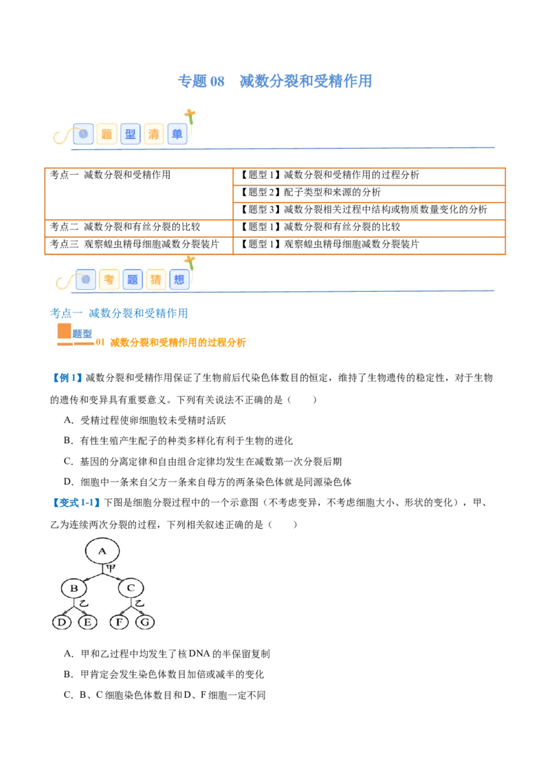 专题08减数分裂和受精作用（5大题型）（原卷版）_2025年新高考资料_一轮复习_备战2025年高考生物一轮复习题型全覆盖（新高考通用）