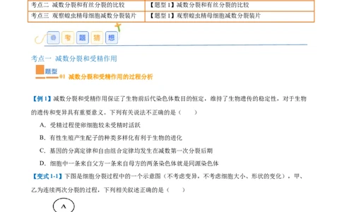 专题08减数分裂和受精作用（5大题型）（原卷版）_2025年新高考资料_一轮复习_备战2025年高考生物一轮复习题型全覆盖（新高考通用）