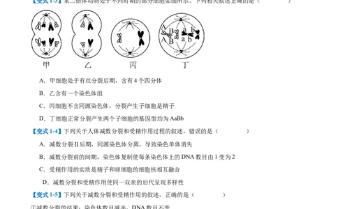 专题08减数分裂和受精作用（5大题型）（原卷版）_2025年新高考资料_一轮复习_备战2025年高考生物一轮复习题型全覆盖（新高考通用）