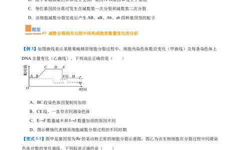 专题08减数分裂和受精作用（5大题型）（原卷版）_2025年新高考资料_一轮复习_备战2025年高考生物一轮复习题型全覆盖（新高考通用）