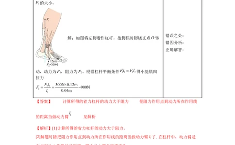 专题10简单机械（解析版）_初物_八年级上下册+九年级全一册物理_八年级物理上册_全套教学资源_课件教案2_中考真题_3.2024年全国中考真题分类汇编_专题10简单机械