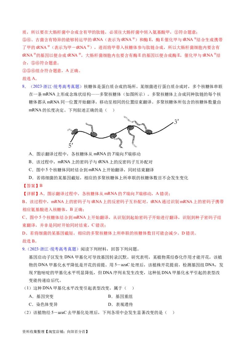 专题08遗传的分子基础-学易金卷：五年（2019-2023）高考生物真题分项汇编（全国通用）（解析版）_通用版（老高考）复习资料_2024年复习资料