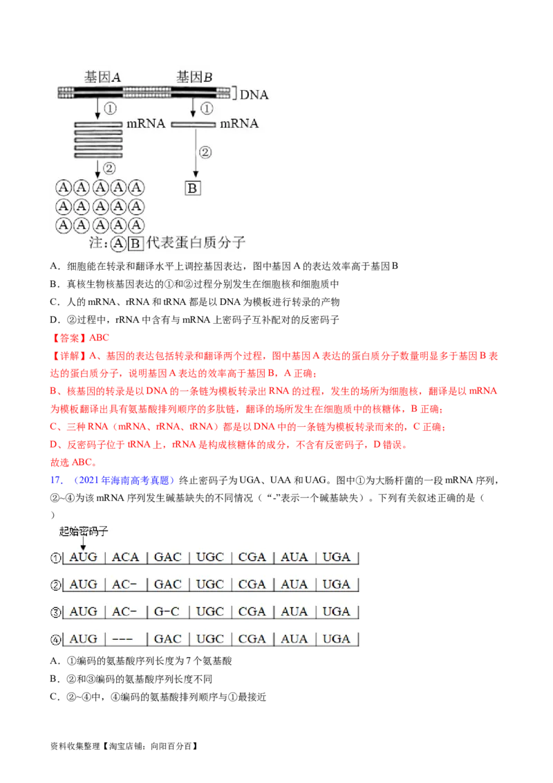 专题08遗传的分子基础-学易金卷：五年（2019-2023）高考生物真题分项汇编（全国通用）（解析版）_通用版（老高考）复习资料_2024年复习资料