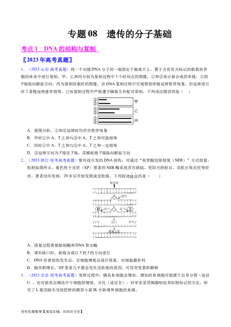 专题08遗传的分子基础-学易金卷：五年（2019-2023）高考生物真题分项汇编（全国通用）（原卷版）_通用版（老高考）复习资料_2024年复习资料