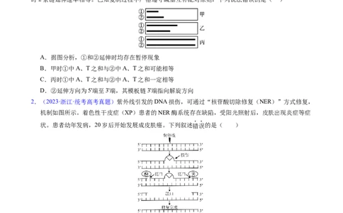 专题08遗传的分子基础-学易金卷：五年（2019-2023）高考生物真题分项汇编（全国通用）（原卷版）_通用版（老高考）复习资料_2024年复习资料