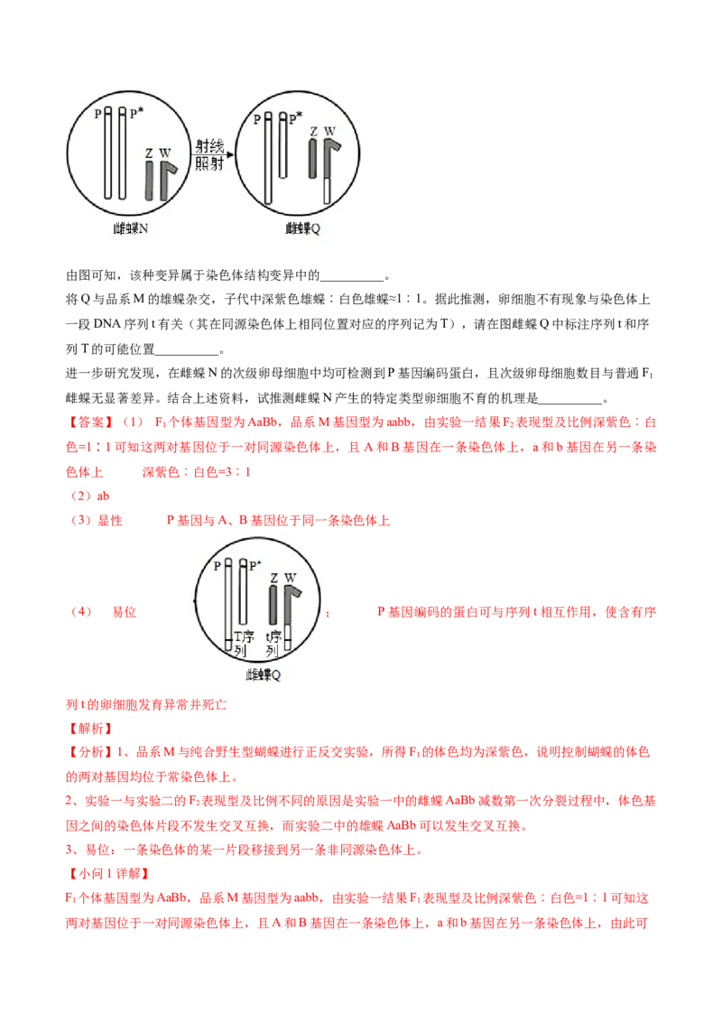 黄金卷05（解析版）-赢在高考&middot;黄金8卷备战2024年高考生物模拟卷（河北专用）_2024年新高考资料_4.2024高考模拟预测试卷
