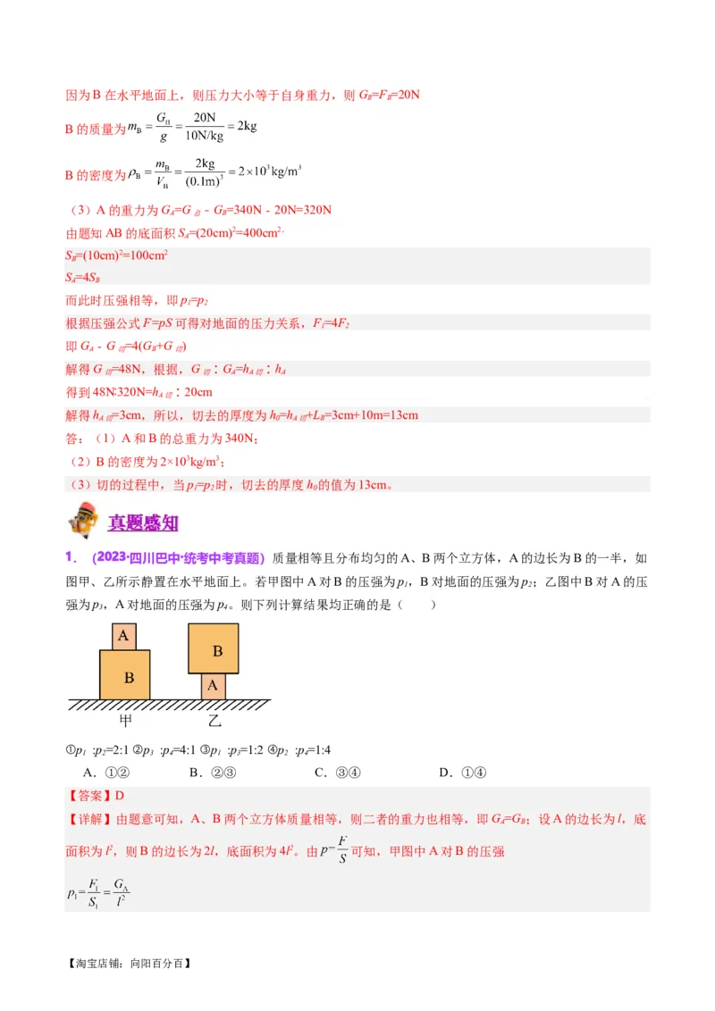 专题10压力与压强（解析版）_8、物理总复习_2024年中考复习资料_一轮复习_完备战2024年中考物理一轮复习考点帮（全国通用）_教师版（含答案解析）