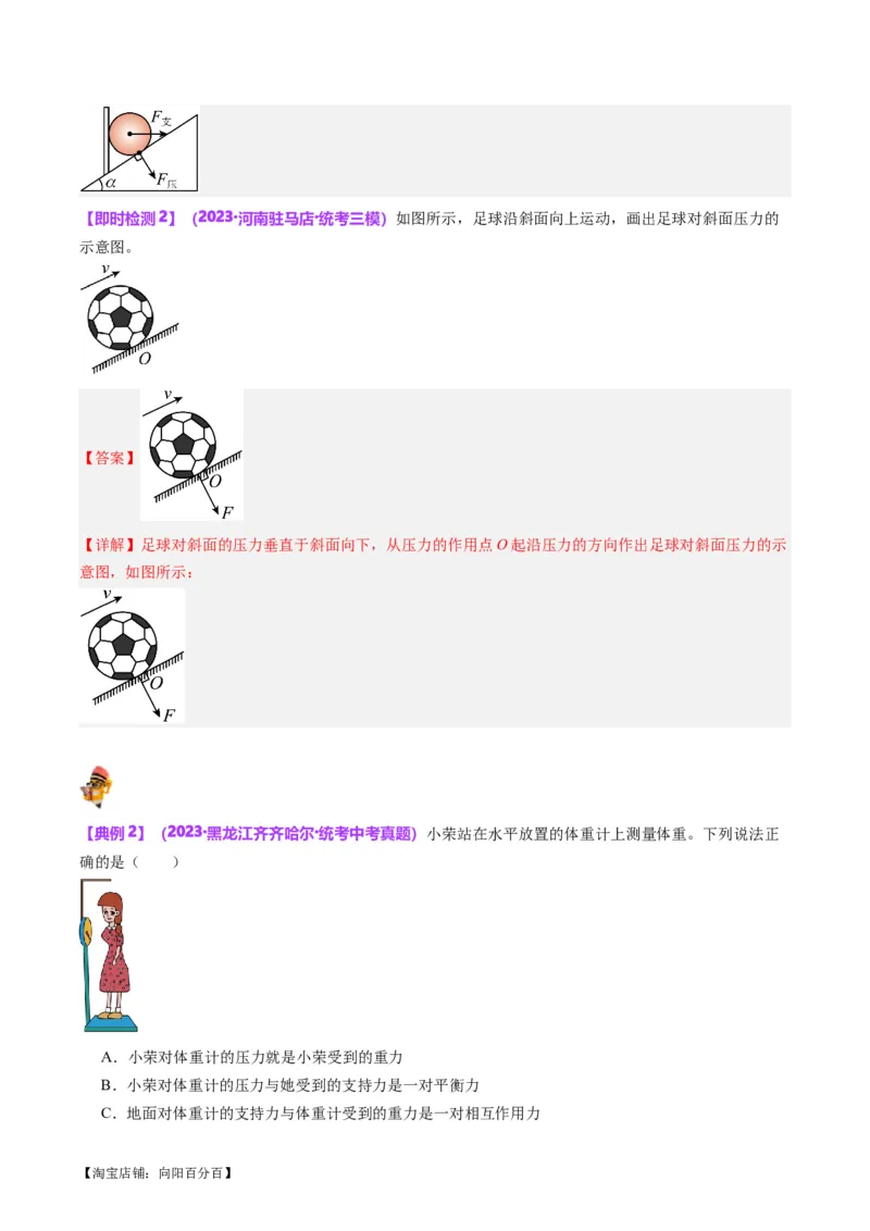 专题10压力与压强（解析版）_8、物理总复习_2024年中考复习资料_一轮复习_完备战2024年中考物理一轮复习考点帮（全国通用）_教师版（含答案解析）