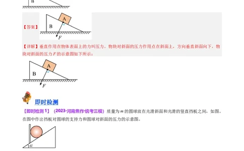 专题10压力与压强（解析版）_8、物理总复习_2024年中考复习资料_一轮复习_完备战2024年中考物理一轮复习考点帮（全国通用）_教师版（含答案解析）