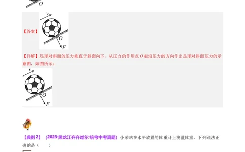 专题10压力与压强（解析版）_8、物理总复习_2024年中考复习资料_一轮复习_完备战2024年中考物理一轮复习考点帮（全国通用）_教师版（含答案解析）