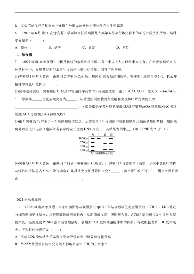 专题10生物的变异和进化（练）-2023年高考生物二轮复习讲练测（全国通用）（原卷版）_通用版（老高考）复习资料_2023年复习资料_二轮复习_2023年高考生物二轮复习讲练测（全国通用）