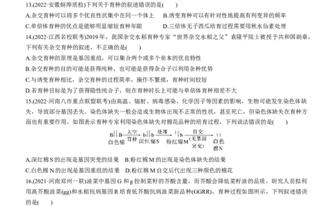 专题10生物的变异和进化（练）-2023年高考生物二轮复习讲练测（全国通用）（原卷版）_通用版（老高考）复习资料_2023年复习资料_二轮复习_2023年高考生物二轮复习讲练测（全国通用）