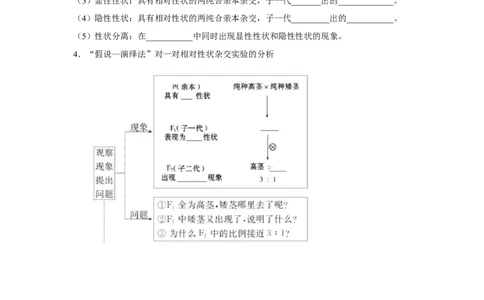 专题13_基因的分离定律(教师版)_新高考复习资料_2023年新高考复习资料_二轮复习_增分要点2023高考生物二轮复习专题解读和分层训练291073137
