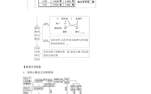 专题13_基因的分离定律(教师版)_新高考复习资料_2023年新高考复习资料_二轮复习_增分要点2023高考生物二轮复习专题解读和分层训练291073137