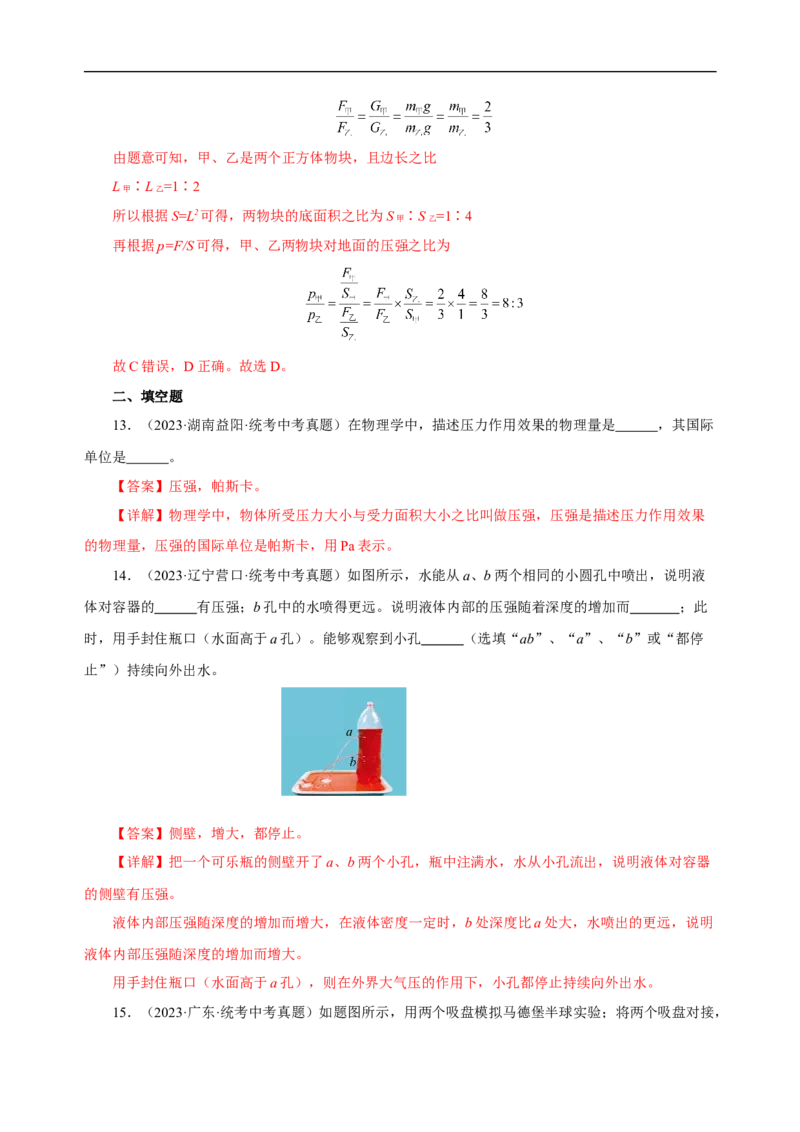 专题09压强（真题训练）(解析版）_8、物理总复习_8.中考物理总复习_2024年中考复习资料_一轮复习资料_完2024年中考物理一轮复习课件+练习_配套练习_教师版（含答案解析）