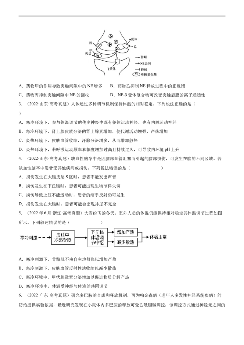 专题11动物生命活动的调节(练）-2023年高考生物二轮复习讲练测（全国通用）（原卷版）_通用版（老高考）复习资料_2023年复习资料_二轮复习_2023年高考生物二轮复习讲练测（全国通用）