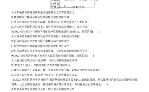 专题11动物生命活动的调节(练）-2023年高考生物二轮复习讲练测（全国通用）（原卷版）_通用版（老高考）复习资料_2023年复习资料_二轮复习_2023年高考生物二轮复习讲练测（全国通用）
