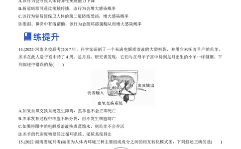 专题11动物生命活动的调节(练）-2023年高考生物二轮复习讲练测（全国通用）（原卷版）_通用版（老高考）复习资料_2023年复习资料_二轮复习_2023年高考生物二轮复习讲练测（全国通用）