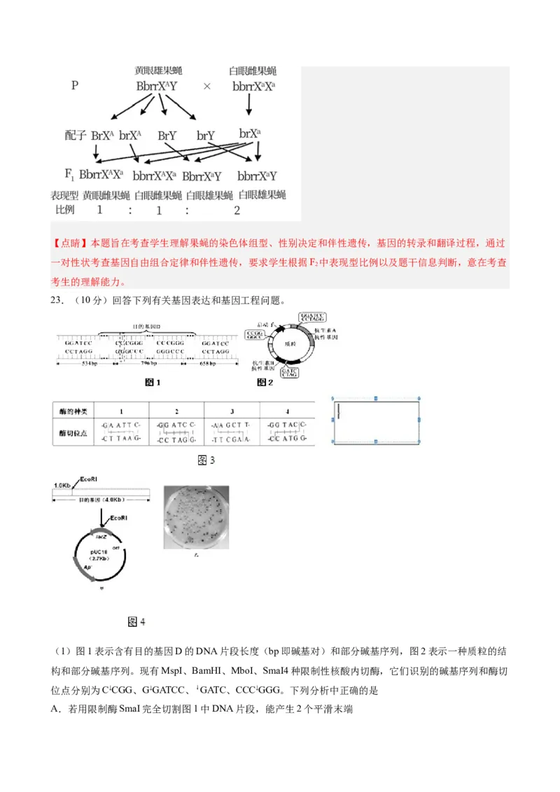 黄金卷08（解析版）-赢在高考&middot;黄金8卷备战2024年高考生物模拟卷（辽宁专用）_2024年新高考资料_4.2024高考模拟预测试卷