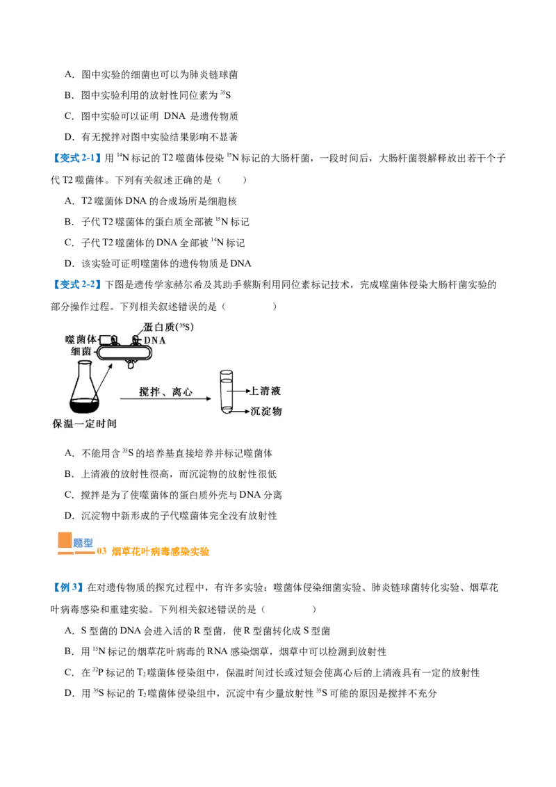 专题10遗传的物质基础（10大题型）（原卷版）_2025年新高考资料_一轮复习_备战2025年高考生物一轮复习题型全覆盖（新高考通用）