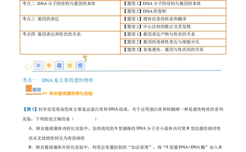 专题10遗传的物质基础（10大题型）（原卷版）_2025年新高考资料_一轮复习_备战2025年高考生物一轮复习题型全覆盖（新高考通用）