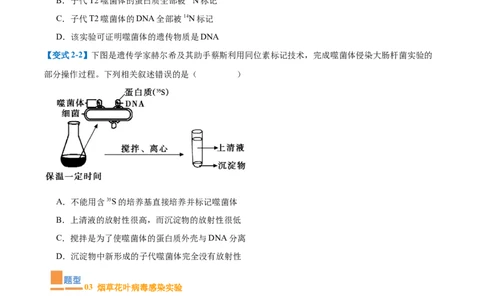 专题10遗传的物质基础（10大题型）（原卷版）_2025年新高考资料_一轮复习_备战2025年高考生物一轮复习题型全覆盖（新高考通用）