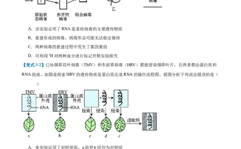 专题10遗传的物质基础（10大题型）（原卷版）_2025年新高考资料_一轮复习_备战2025年高考生物一轮复习题型全覆盖（新高考通用）