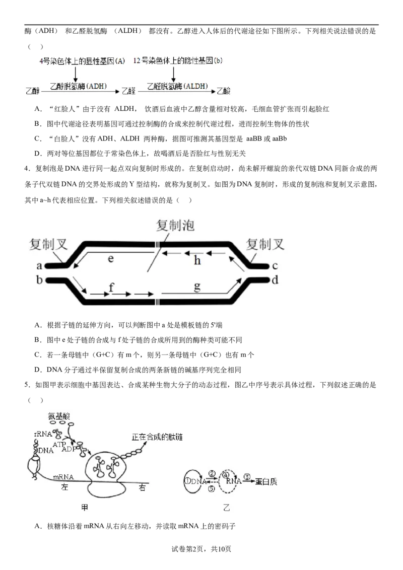 黄金卷05（原卷版）_2024年新高考资料_4.2024高考模拟预测试卷_赢在高考&middot;黄金8卷备战2024年高考生物模拟卷（湖南专用）31263208