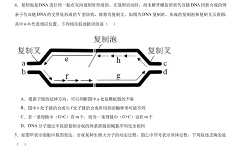 黄金卷05（原卷版）_2024年新高考资料_4.2024高考模拟预测试卷_赢在高考&middot;黄金8卷备战2024年高考生物模拟卷（湖南专用）31263208