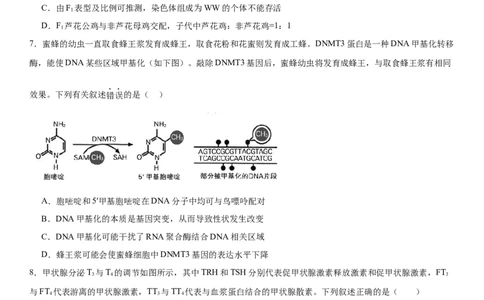 黄金卷05（原卷版）_2024年新高考资料_4.2024高考模拟预测试卷_赢在高考&middot;黄金8卷备战2024年高考生物模拟卷（湖南专用）31263208