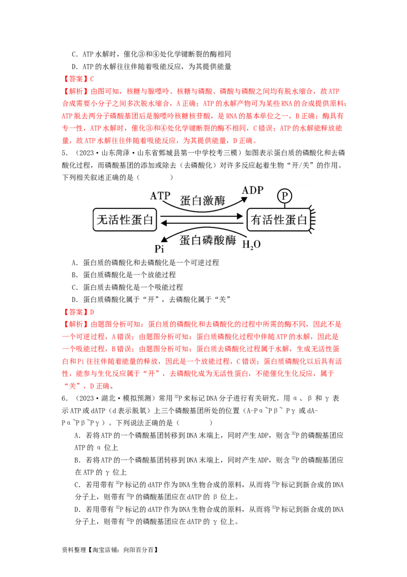 专题08酶和ATP（解析版）_通用版（老高考）复习资料_2024年复习资料_完备战2024年高考生物一轮复习抢分特训（全国通用）_教师版（含答案解析）