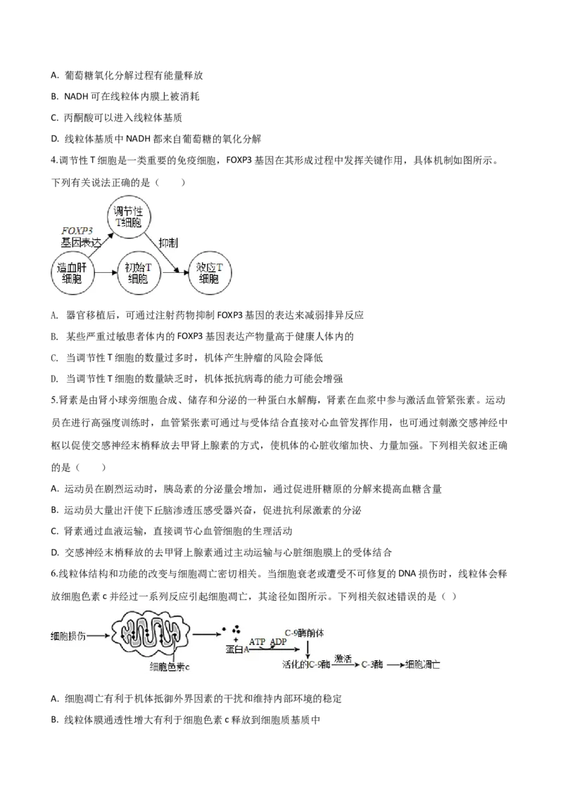 黄金卷07（考试版）-赢在高考&middot;黄金8卷备战2024年高考生物模拟卷（山东专用）_2024年新高考资料_4.2024高考模拟预测试卷