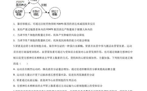 黄金卷07（考试版）-赢在高考&middot;黄金8卷备战2024年高考生物模拟卷（山东专用）_2024年新高考资料_4.2024高考模拟预测试卷