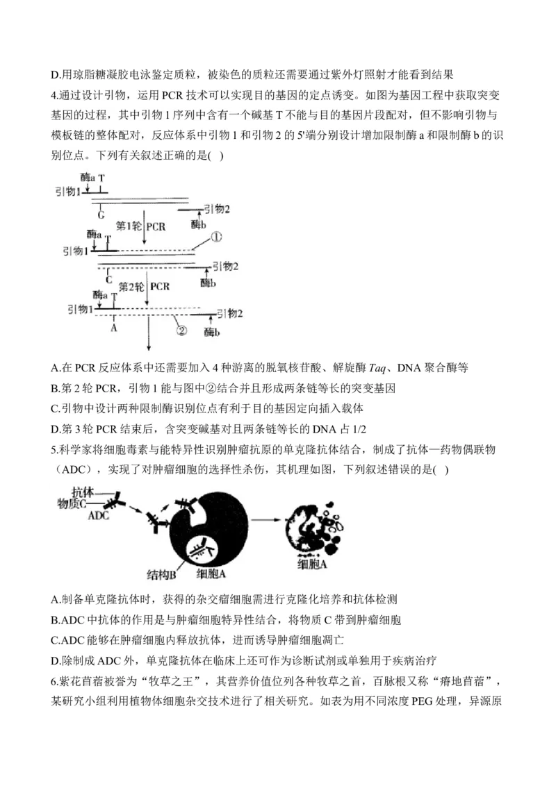 专题12生物技术与工程（选择题）&mdash;&mdash;2025届高考生物学模块分练新高考版（含解析）_2025年新高考资料_二轮复习_新高考版2025届高考生物学模块分练选择题与非选择题（含解析）