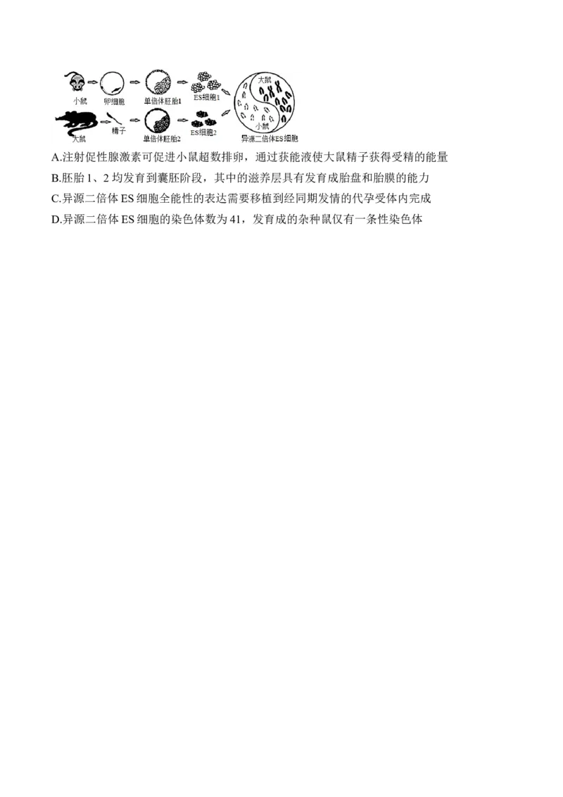 专题12生物技术与工程（选择题）&mdash;&mdash;2025届高考生物学模块分练新高考版（含解析）_2025年新高考资料_二轮复习_新高考版2025届高考生物学模块分练选择题与非选择题（含解析）