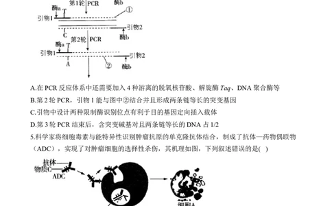 专题12生物技术与工程（选择题）&mdash;&mdash;2025届高考生物学模块分练新高考版（含解析）_2025年新高考资料_二轮复习_新高考版2025届高考生物学模块分练选择题与非选择题（含解析）