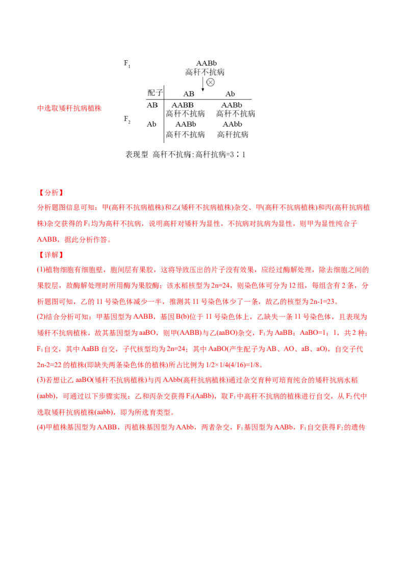 专题10变异、育种与进化-2021年高考生物真题与模拟题分类训练（教师版含解析）_新高考复习资料_2023年新高考复习资料_一轮复习_2023年新高考大一轮复习讲义
