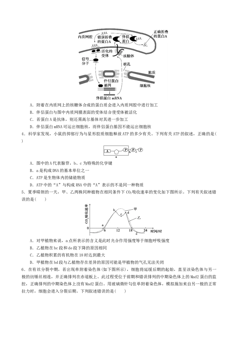 黄金卷08（考试版）-赢在高考&middot;黄金8卷备战2024年高考生物模拟卷（湖北专用）_2024年新高考资料_4.2024高考模拟预测试卷