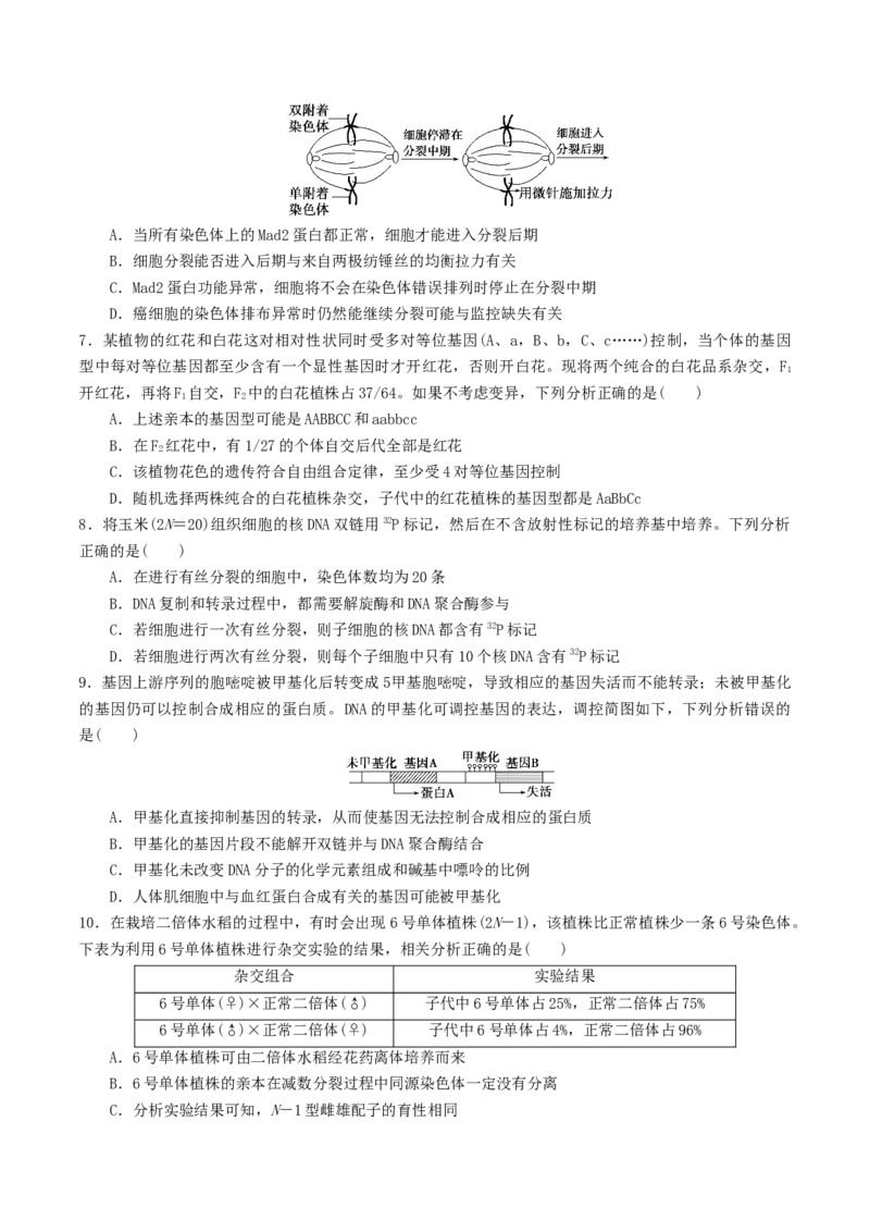 黄金卷08（考试版）-赢在高考&middot;黄金8卷备战2024年高考生物模拟卷（湖北专用）_2024年新高考资料_4.2024高考模拟预测试卷