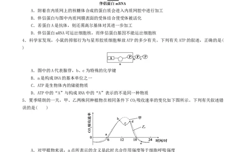 黄金卷08（考试版）-赢在高考&middot;黄金8卷备战2024年高考生物模拟卷（湖北专用）_2024年新高考资料_4.2024高考模拟预测试卷