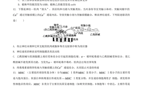 黄金卷08（考试版）-赢在高考&middot;黄金8卷备战2024年高考生物模拟卷（湖北专用）_2024年新高考资料_4.2024高考模拟预测试卷