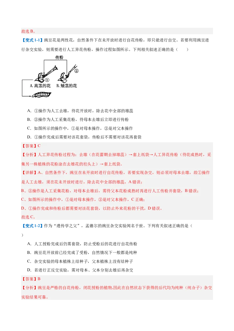 专题09基因的传递规律（9大题型）（解析版）_2025年新高考资料_一轮复习_备战2025年高考生物一轮复习题型全覆盖（新高考通用）