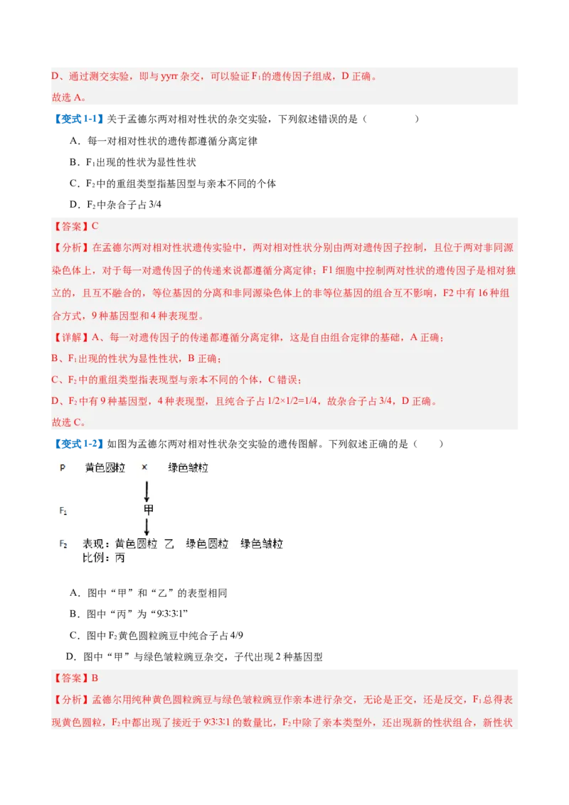 专题09基因的传递规律（9大题型）（解析版）_2025年新高考资料_一轮复习_备战2025年高考生物一轮复习题型全覆盖（新高考通用）